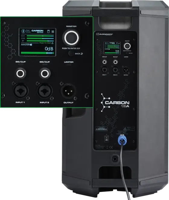 Panneau arrière du CARBON12A : écran DSP et connectique